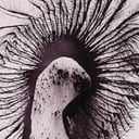 Album cover art for Let's Just Be