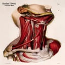 Album cover art for I'm Your Man