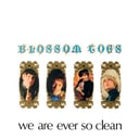 Album cover art for We Are Ever So Clean