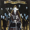 Album cover art for Rise Up