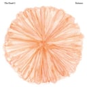 Album cover art for Patience