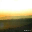 Album cover art for Yankee Reality