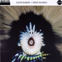 Album cover art for Great Aviaries