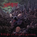 Album cover art for Effigy of the Forgotten