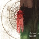 Album cover art for Cicada