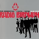 Album cover art for The Essential Radio Birdman (1974-1978)