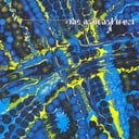 Album cover art for Dekkagar