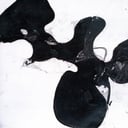 Album cover art for Stalled Parade