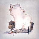 Album cover art for Fall Back Open