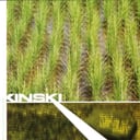 Album cover art for Don't Climb On and Take the Holy Water