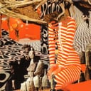 Album cover art for Shaggy Black