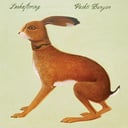 Album cover art for Lookaftering
