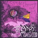Album cover art for Spider Through the Fog