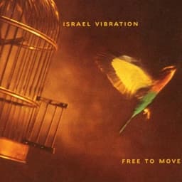 Israel Vibration