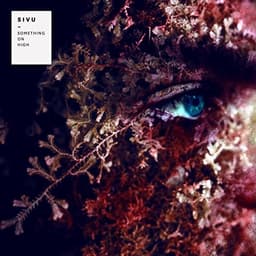 Sivu