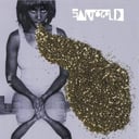 Album cover art for Santogold