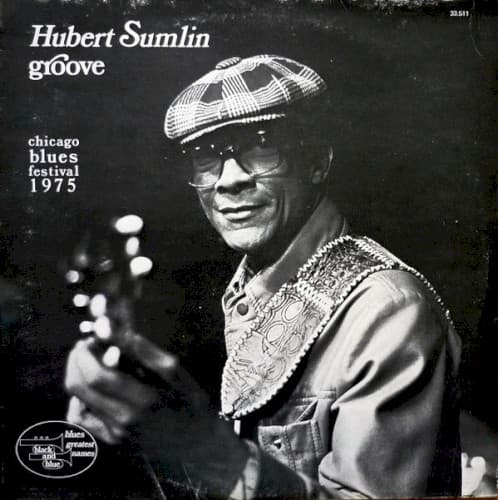 Groove - Chicago Blues Festival 1975