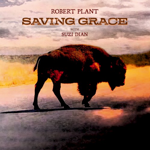 Album cover art for Saving Grace