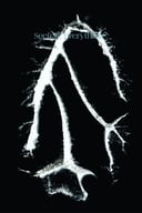 Album cover art for Everything Squared