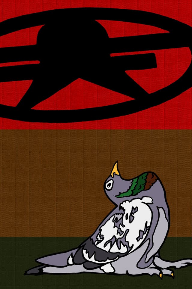 joy is no knocking nation EP